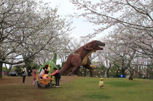 八坂総合公園_芝生の広場