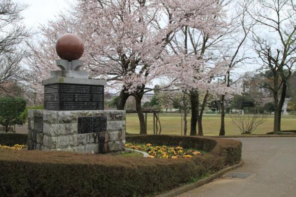 八坂総合公園_陸上競技場