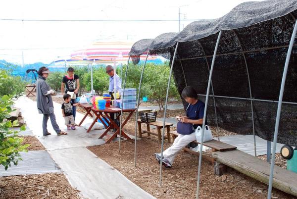 中村ブルーベリー園_休憩スポット