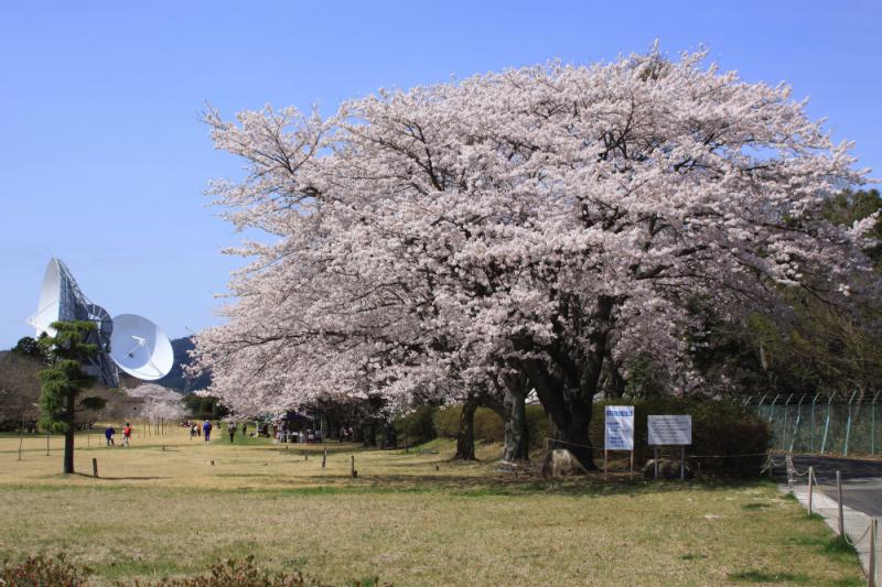 衛星通信記念公園002