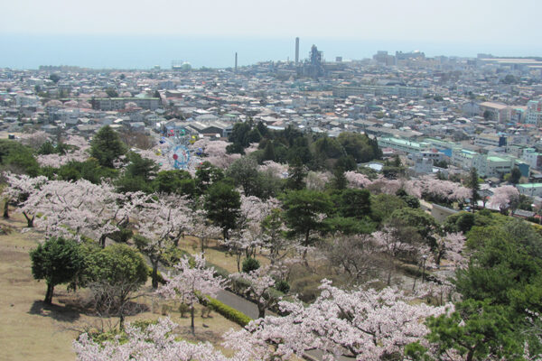 サンプル画像3