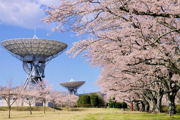 さくら宇宙公園(高萩市)