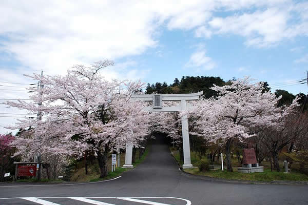 サンプル画像1
