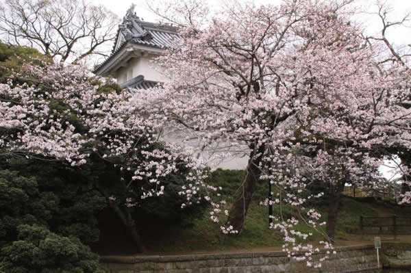 サンプル画像3