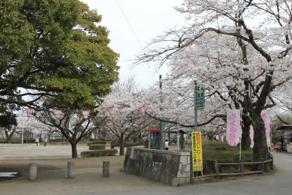 サンプル画像2