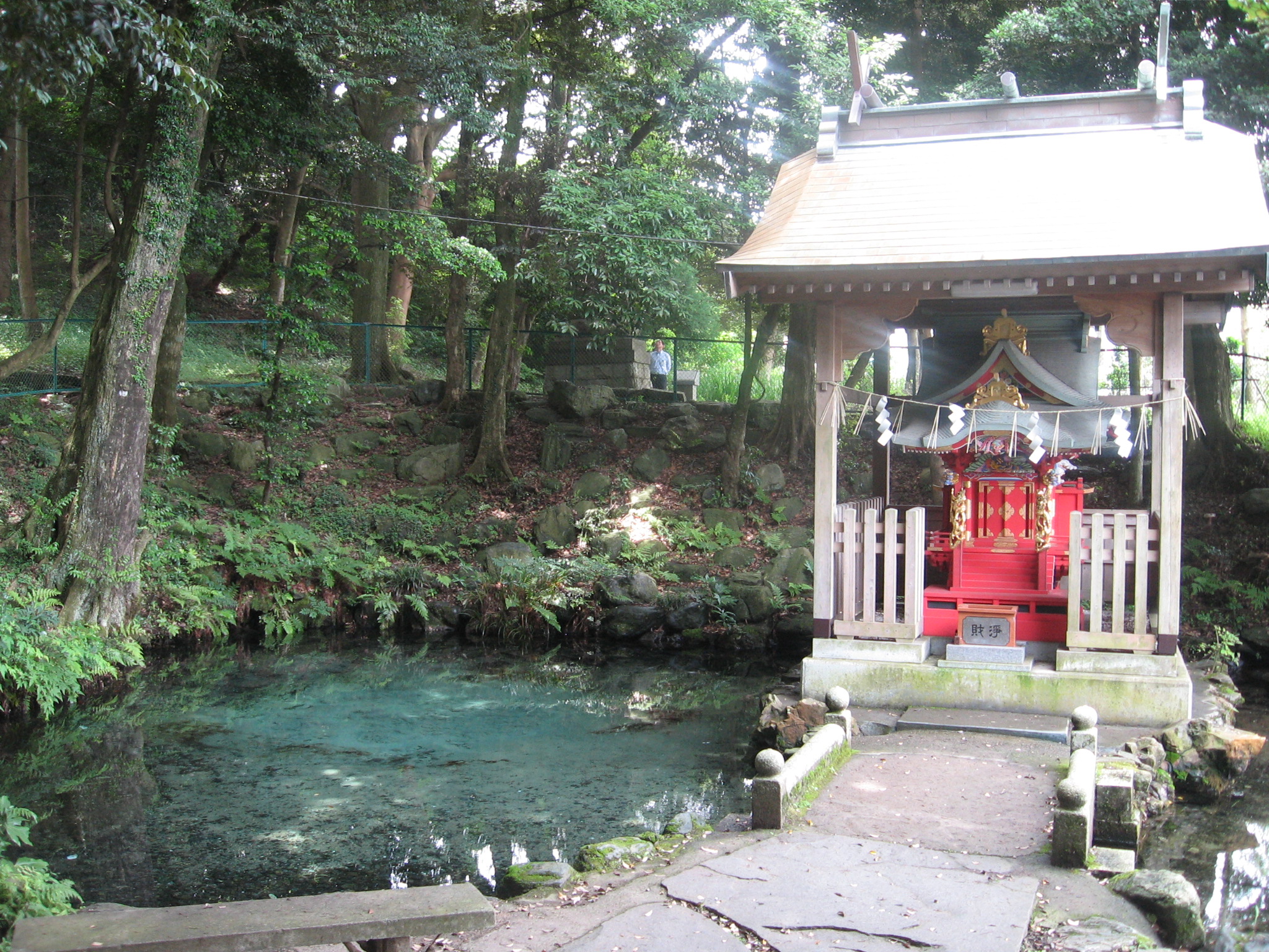 泉が森 泉神社 (イトヨの里 泉が森公園)B