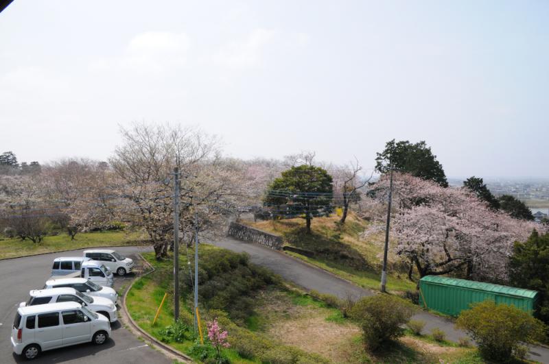 権現山公園_A