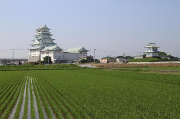 豊田城(常総市地域交流センター)_遠方からの「豊田城」