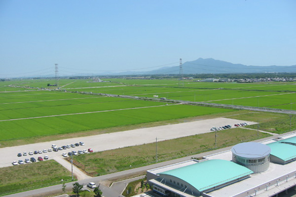 豊田城(常総市地域交流センター)_7階展望室からの眺め