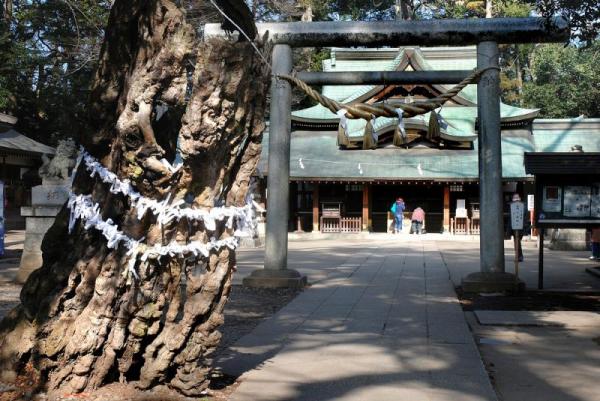 一言主神社_風景3