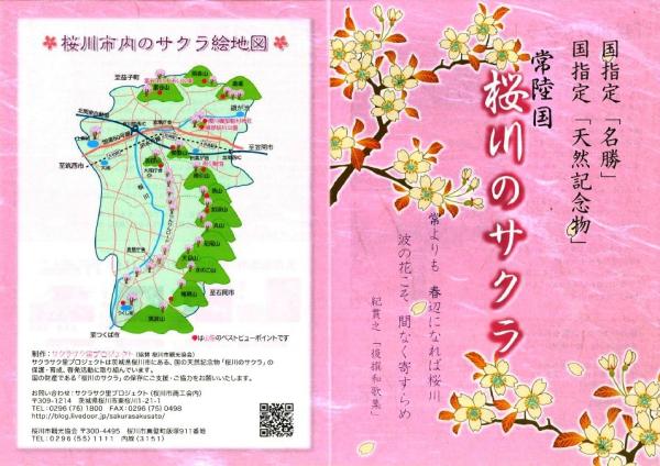 天然記念物 「桜川のサクラ」_桜川のサクラパンフレット
