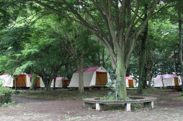 宮山ふるさとふれあい公園_キャンプ場