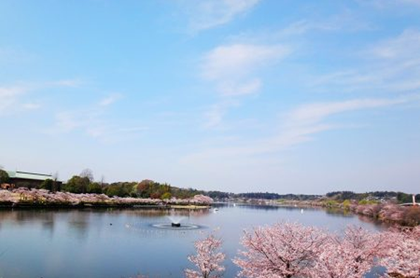 観て、遊べる、いばらきの「公園」