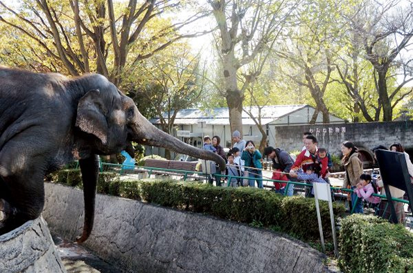 こどもといっしょに楽しめる！茨城県の遊園地・動物園5選