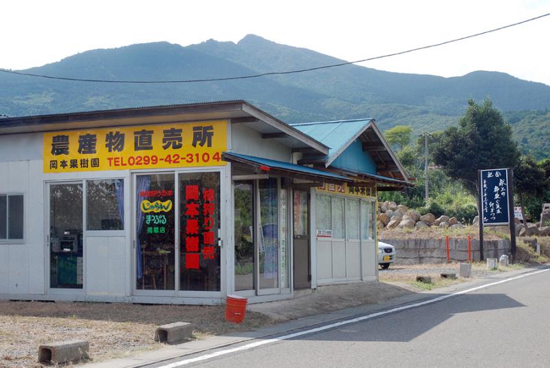 岡本果樹園_A