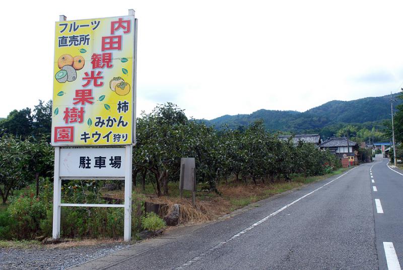 内田観光果樹園_A