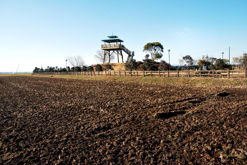 大須賀津湖畔農村公園_畑