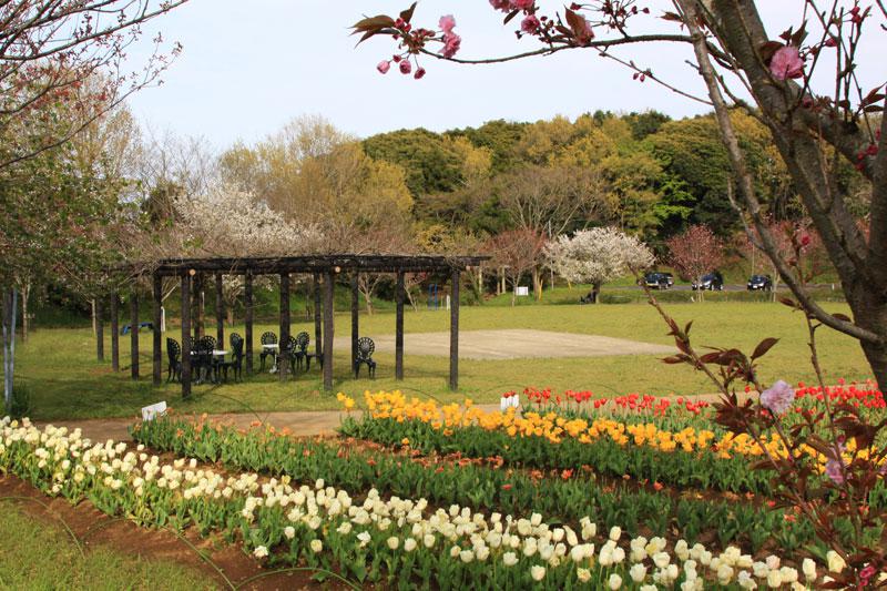 木原城址城山公園_休憩