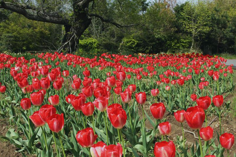 和田公園_C