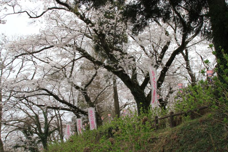 城跡歴史公園_A