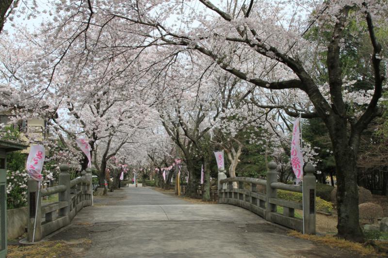 城跡歴史公園_B