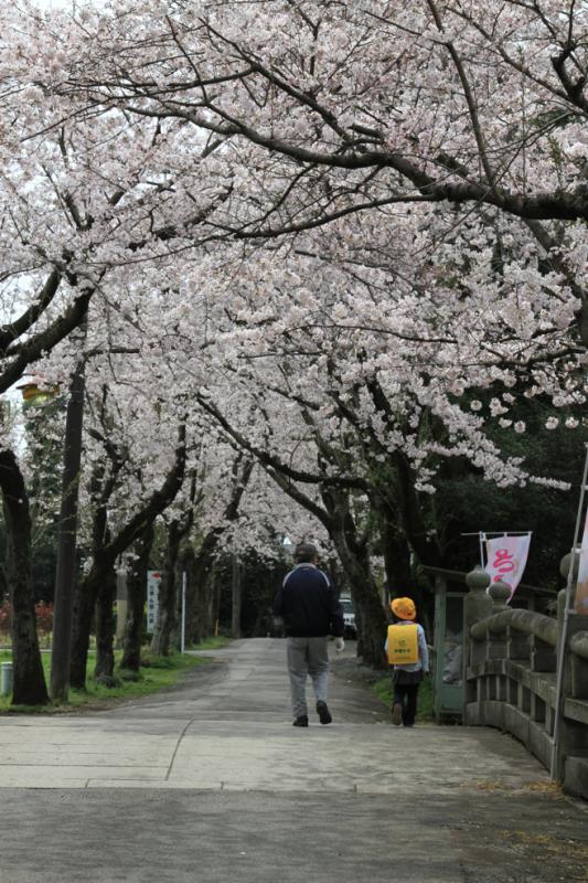 城跡歴史公園_C