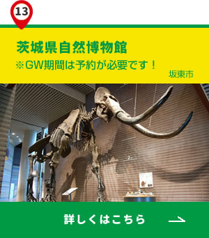 13_茨城県自然博物館