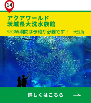 14_アクアワールド大洗
