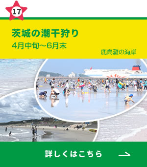 17_茨城の潮干狩り