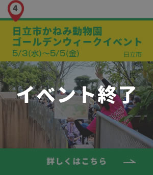 4_日立市_ゴールデンウェークイベント_終了