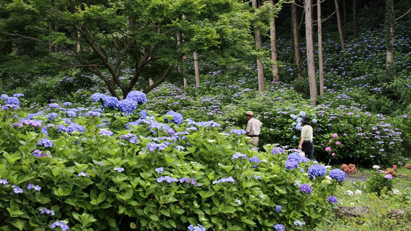 3_涸沼自然公園