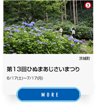 3_茨城町、第13回ひぬまあじさいまつり