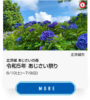 5_北茨城市、令和5年 あじさい祭り