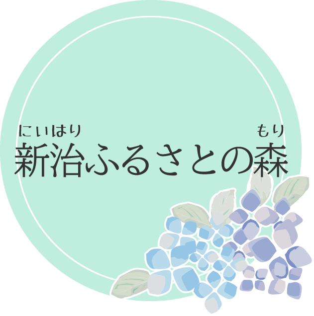 あじさい_新治ふるさとの森