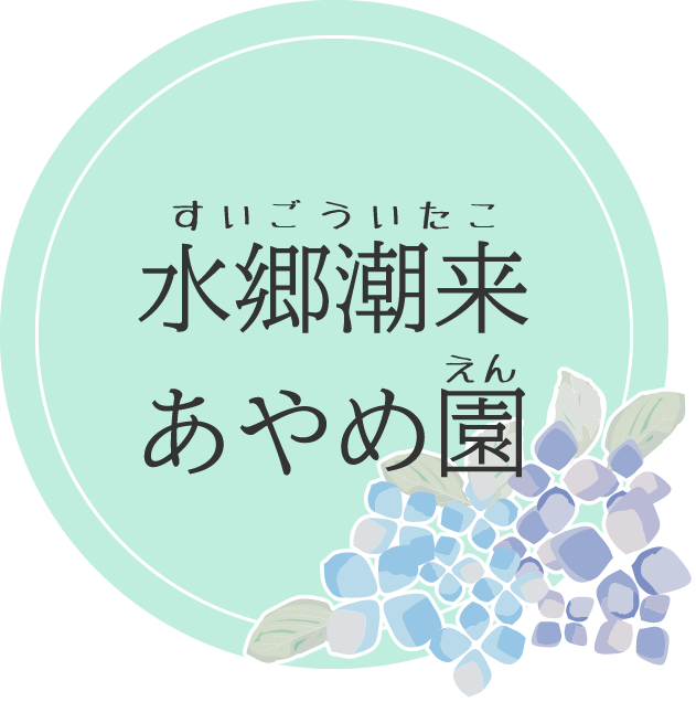 あじさい_水郷潮来あやめ園(潮来市)