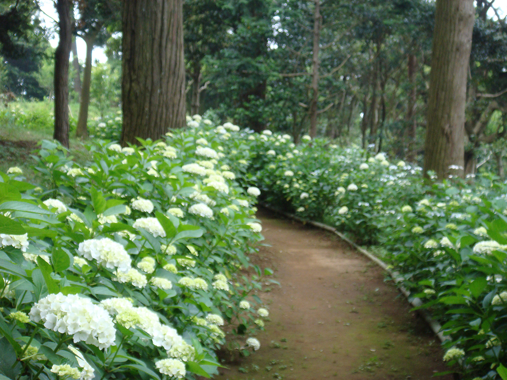 稲荷山公園