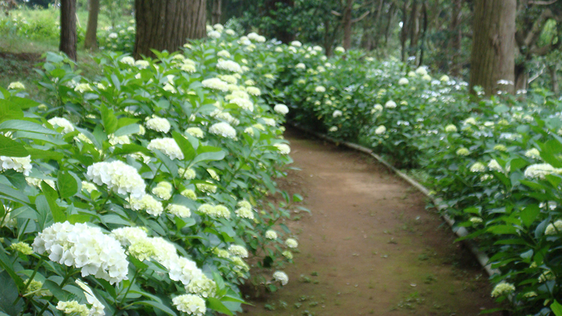 8_稲荷山公園