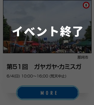 8_那珂市、第51回 ガヤガヤ・カミスガ_終了