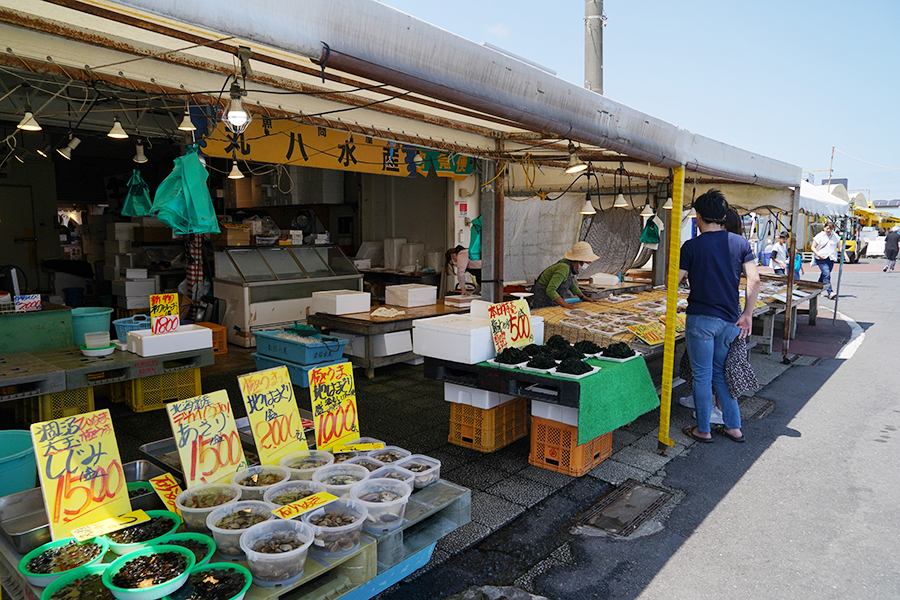 魚問屋 丸八水産_外観