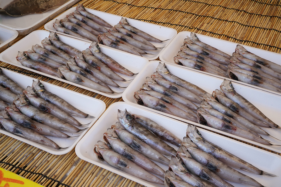 魚問屋 丸八水産1