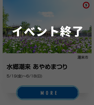 9_潮来市、あやめまつり_イベント終了