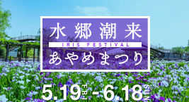 水郷潮来あやめまつり2023いば旬バナ