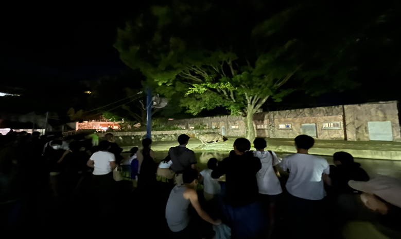 夜の動物園