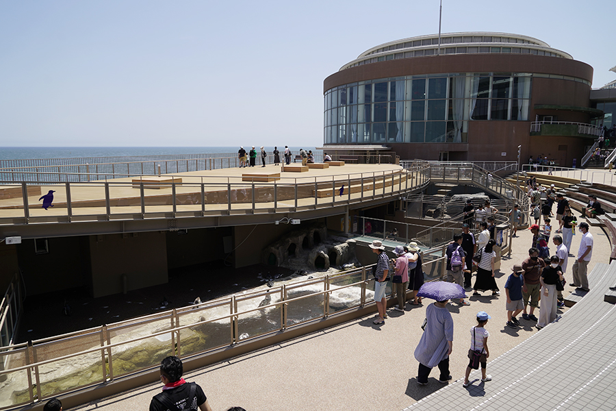 大洗水族館_オーシャンテラス2