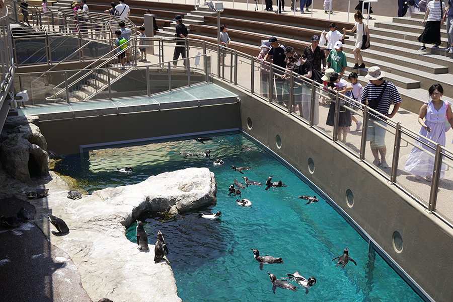 大洗水族館_オーシャンテラス1