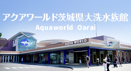 アクアワールド茨城県大洗水族館バナ-