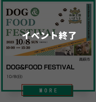 10_DOG&FOOD FESTIVAL