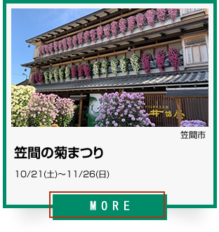18_笠間の菊まつり