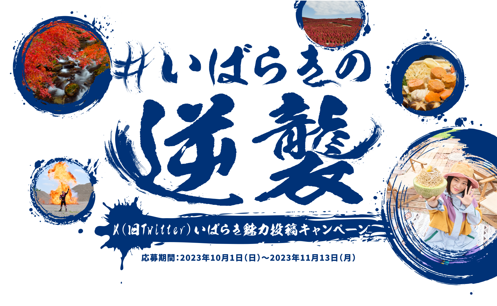 いばらきの逆襲_トップ