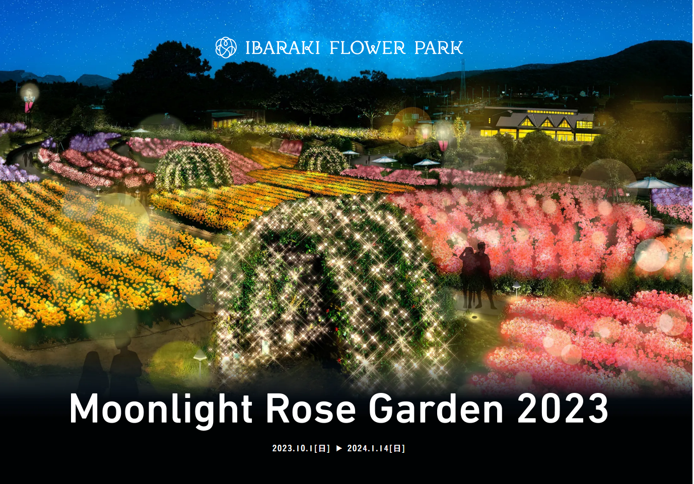 Moonlight Rose Garden